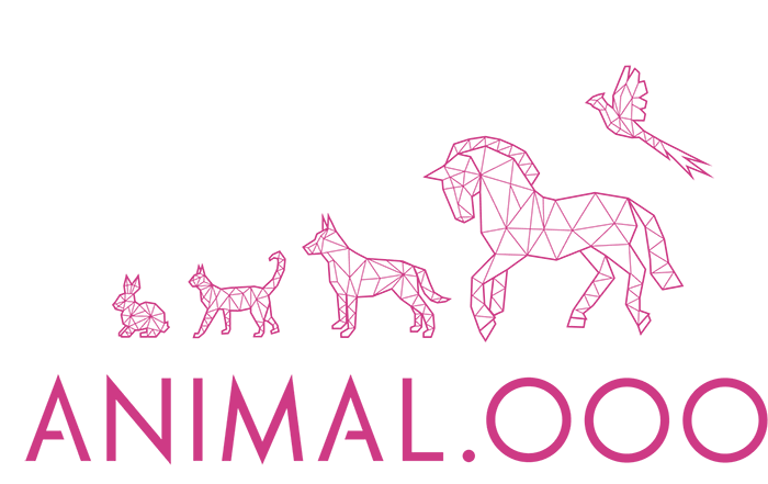 AnimalOOO